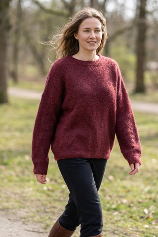 Model