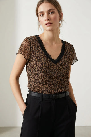 Model