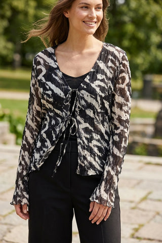 Model