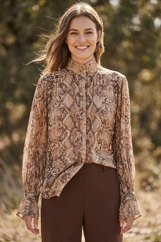 Model